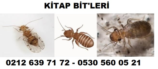 kitap-biti